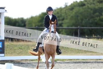 181894_mtp_05_R62_5107.JPG
