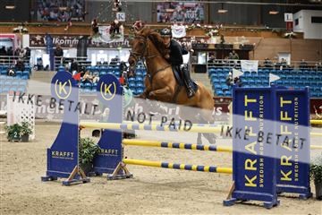 175934_avh_02_7391.JPG