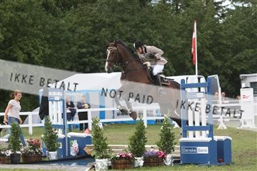 5925_ma_05_IMG_1455.JPG