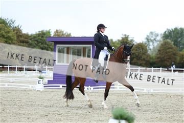 181923_mtp_04_R62_8439.JPG