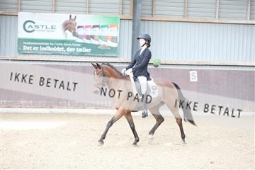 174313_mtp_01_3M5A5749.JPG