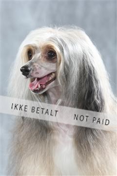 129608_le_ 01_0076.JPG