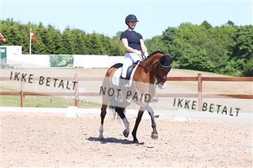 181449_bc_01R62_5806.JPG