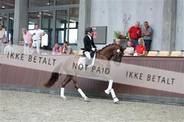 181852_mtp_05_R62_3378.JPG
