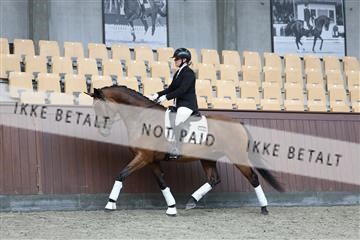 181852_mtp_02_R62_1794.JPG