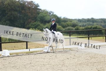 181894_mtp_05_R62_4417.JPG