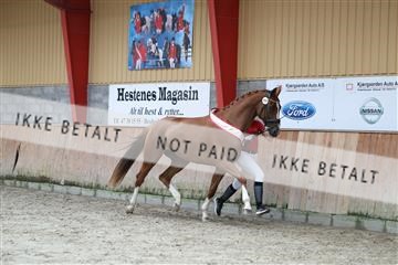 181867_mtp_01_R62_4281.JPG