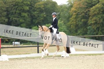 181894_mtp_04_R62_3696.JPG