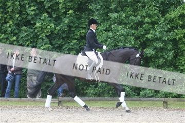 135518_ms_01_IMG_1341.JPG