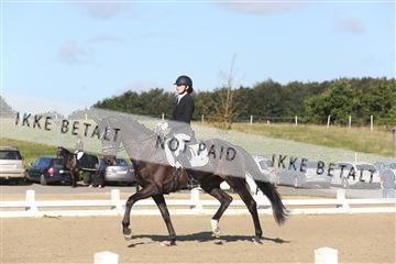 148862_sg_01_IMG_2781.JPG