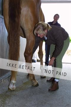 1257_04_100-0009_IMG.JPG