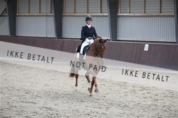 171210_mtp_01_3M5A6886.JPG