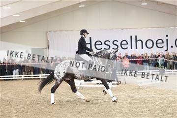 174363_kbb_01_R6II7913.JPG