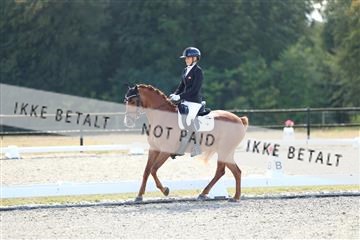 181894_mtp_02_R62_1755.JPG