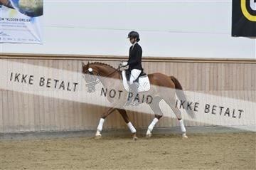 160111_nn_01__ESK1347.JPG