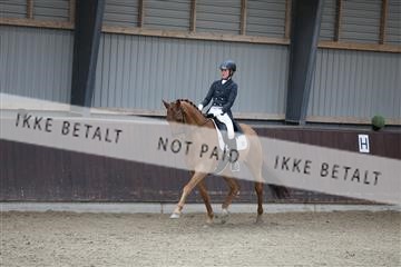 171210_mtp_01_3M5A6678.JPG