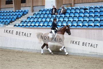 181887_mtp_04_R62_8681.JPG