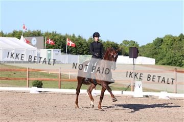 181449_bc_01R62_6392.JPG