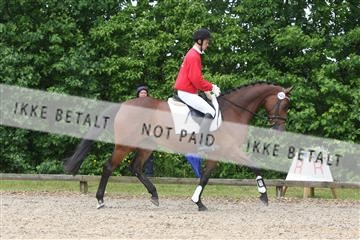135518_ms_01_IMG_1366.JPG