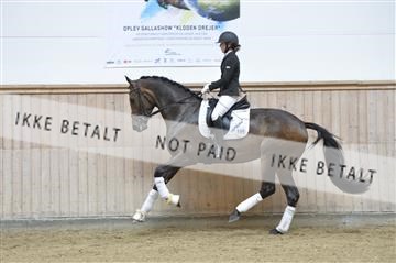 160111_nn_01__ESK1887.JPG