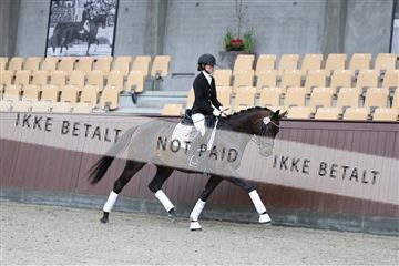 181852_mtp_03_R62_2064.JPG