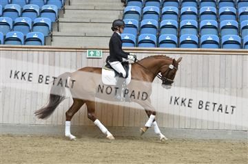 160111_nn_01__ESK1370.JPG