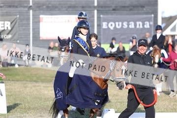 181894_mtp_05_R62_6058.JPG