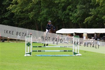 181805_mlm_01_R62_3921.JPG