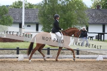 147698_nn_01_IMG_0146.JPG