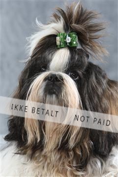 129608_le_ 01_0089.JPG