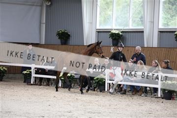 179088_mtp_01_3M5A3600.JPG