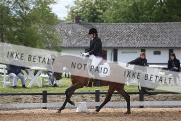 147698_nn_01_IMG_0048.JPG