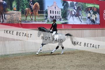 181887_mtp_05_R62_9673.JPG