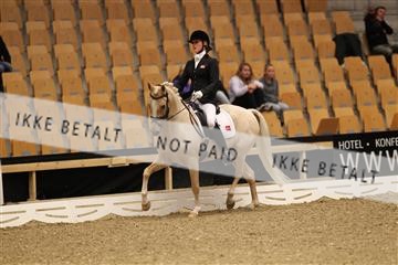 126407_abo_01_IMG_1303.JPG