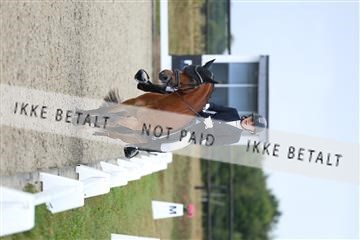 181894_mtp_05_R62_4176.JPG
