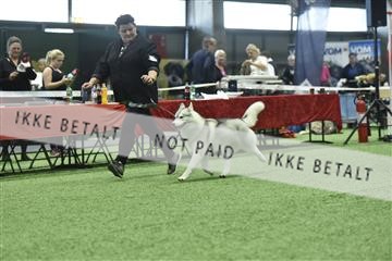 163793_bkn_01__BKN9182.JPG
