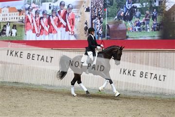 181887_mtp_04_R62_8947.JPG