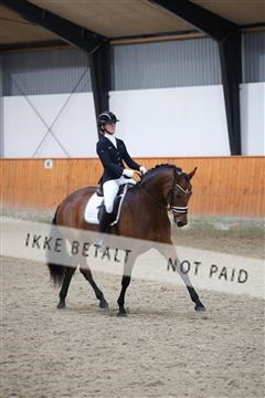 175681_avh_01_R62_0978.JPG