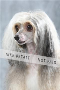 129608_le_ 01_0068.JPG