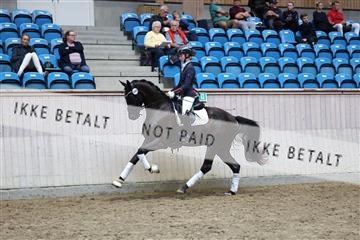 181887_mtp_05_R62_9929.JPG