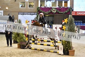 161006_abo_01__D050678.JPG
