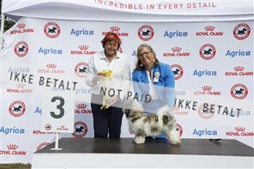 181848_kar_01__62_3846.JPG