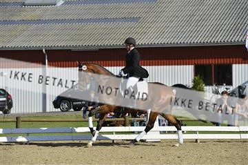 136195_abo_01__AB16567.JPG