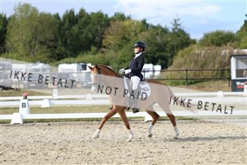 181894_mtp_05_R62_5028.JPG