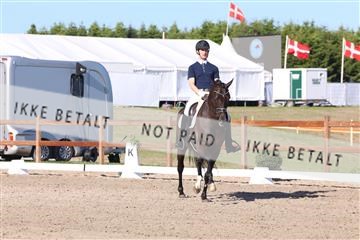 181449_bc_01R62_6256.JPG