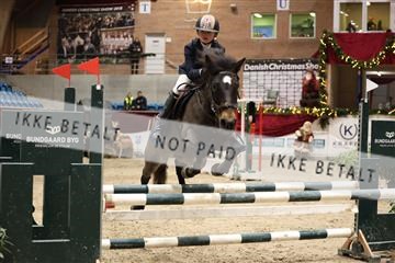 175934_avh_02_6981.JPG