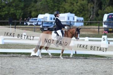 181894_mtp_05_R62_5367.JPG