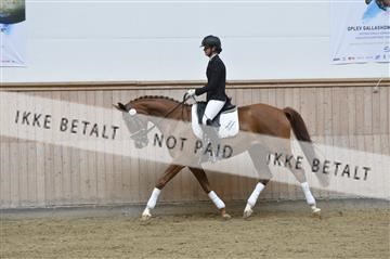 160111_nn_01__ESK1341.JPG