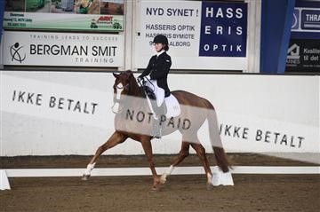 150596_nn_01_IMG_8735.JPG
