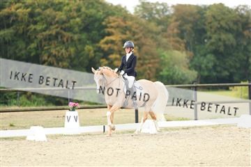 181894_mtp_04_R62_3362.JPG